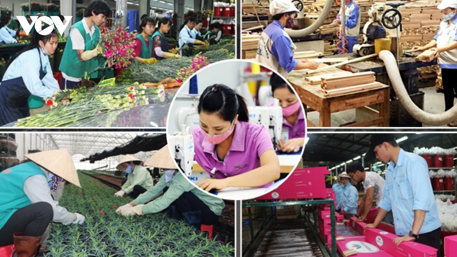 Các doanh nghiệp châu Âu tin tưởng vào triển vọng kinh tế của Việt Nam​​​​​​​